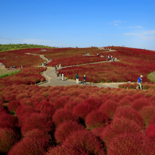 地域に寄り添った対応で、買取価格にしっかり還元