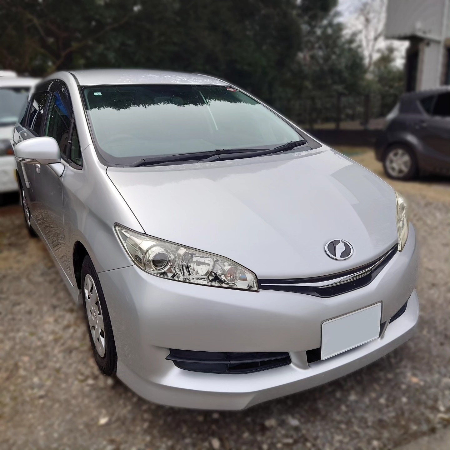 ウィッシュ240425