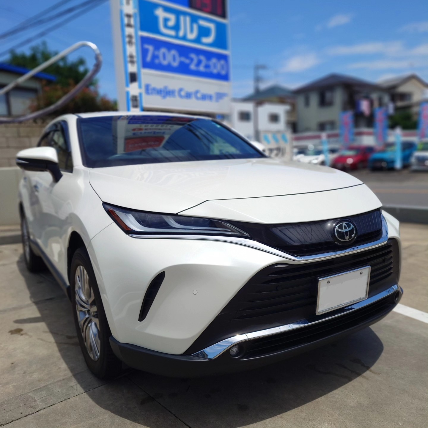 ハリアー250801