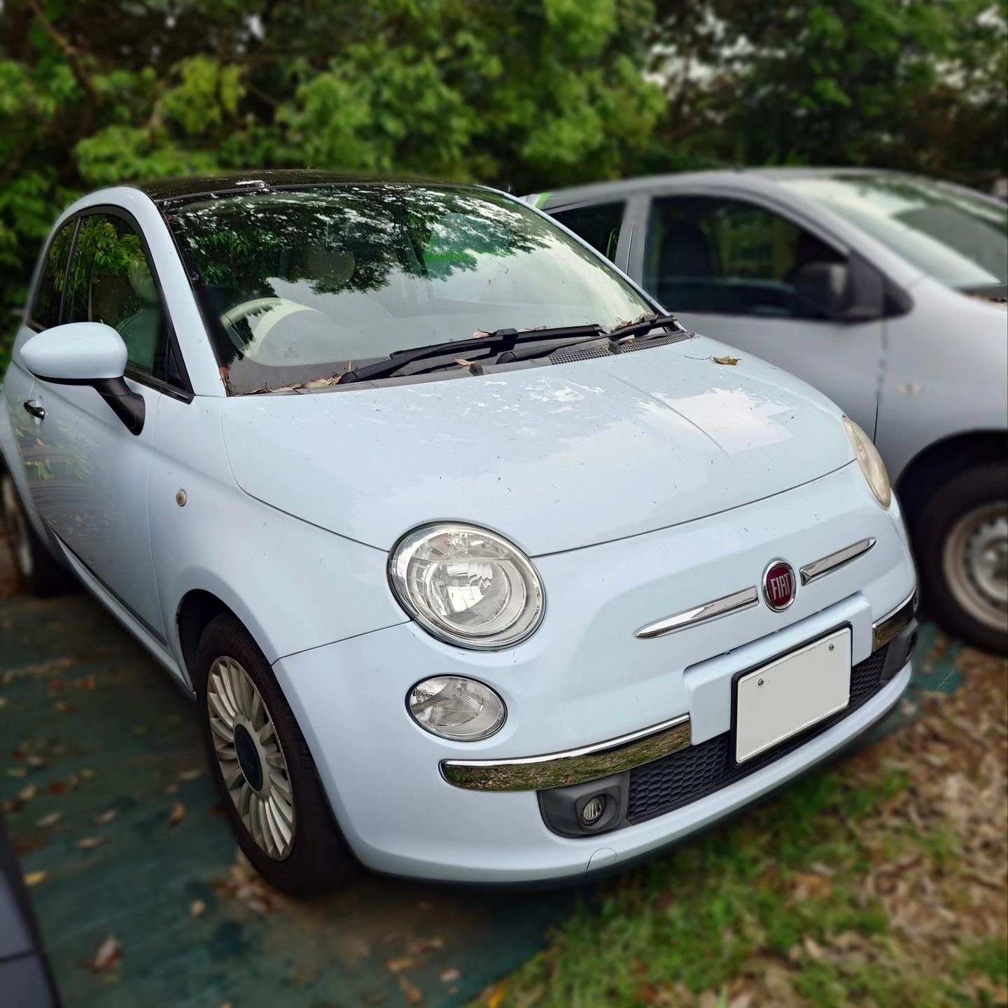 フィアット500　250612