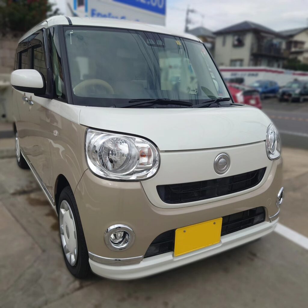 ムーヴキャンバス241105